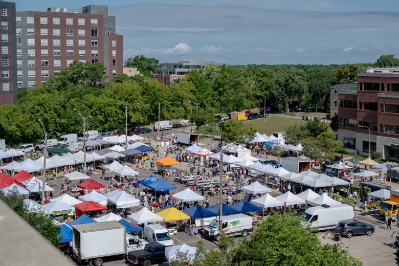 aireal view of fm - Copy (2)